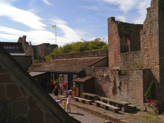 Auf dem Höhenweg zur Madenburg 2019